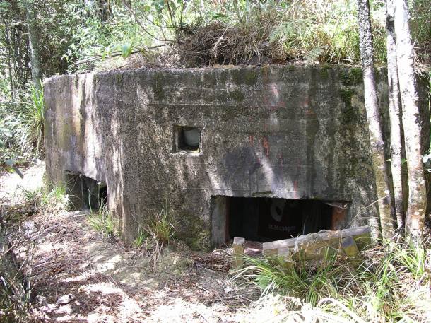 WW2 pillbox, off the Mamaku Track