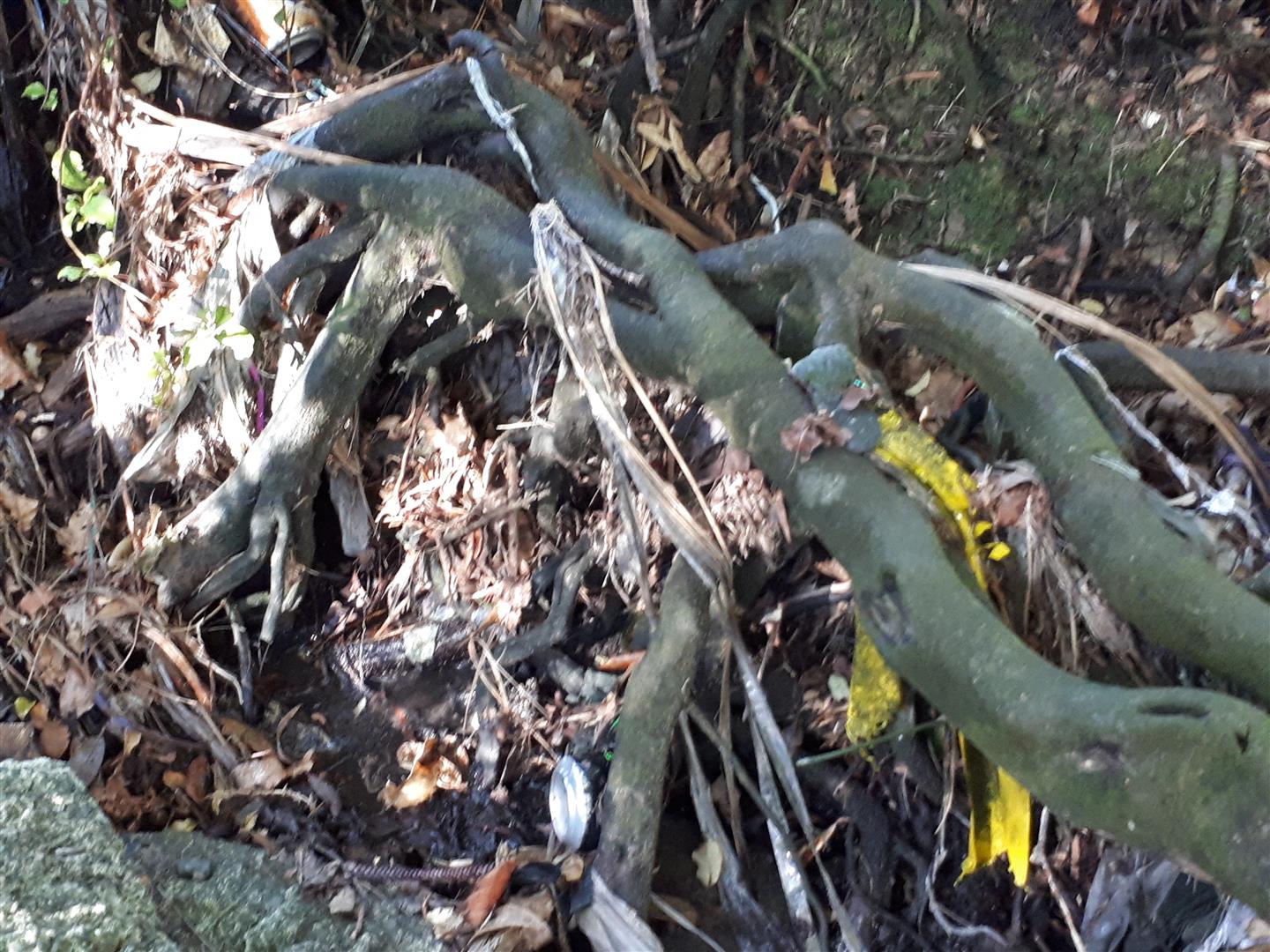 1804 Rae Rd gully plastic (3)