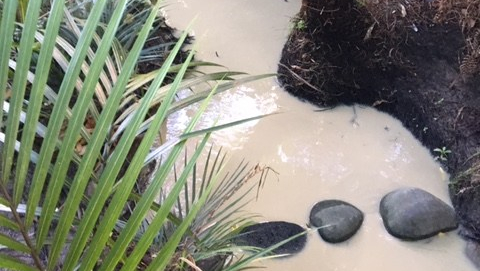 1909 pollution at Paula Arkensteyn's (1)